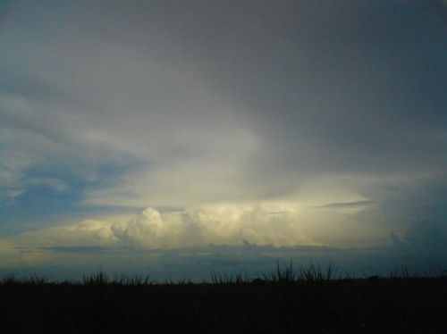 Fotografia de ajvit - Galeria Fotografica: principio - Foto: 