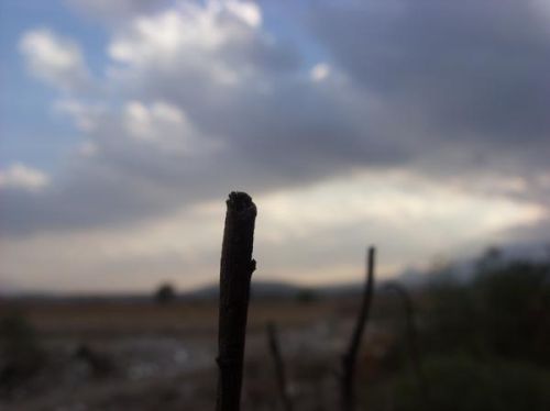 Fotografia de ajvit - Galeria Fotografica: principio - Foto: 