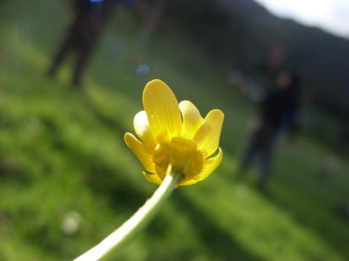 Fotografia de ajvit - Galeria Fotografica: principio - Foto: 