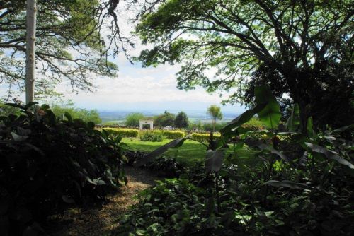 Fotografia de hzuluaga - Galeria Fotografica: MI VALLE DEL CAUCA - Foto: 