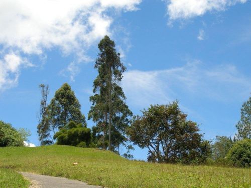 Fotografia de hzuluaga - Galeria Fotografica: MI VALLE DEL CAUCA - Foto: 