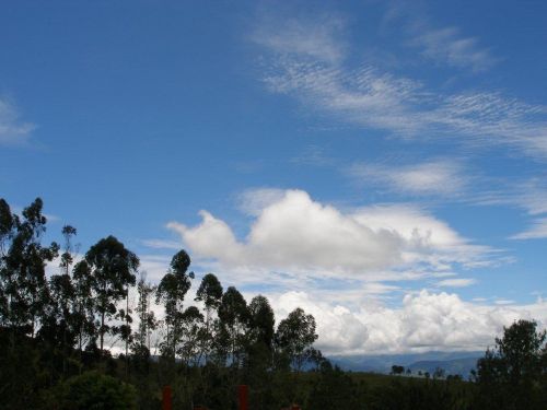 Fotografia de hzuluaga - Galeria Fotografica: MI VALLE DEL CAUCA - Foto: 