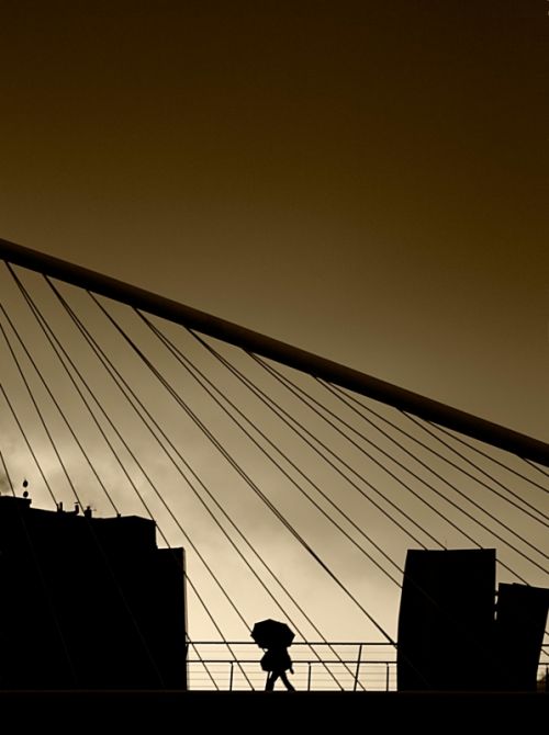 Fotografia de Ram�n Buesa - Galeria Fotografica: Puentes Bilbao - Foto: Puente de Calatrava