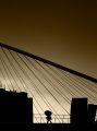 Foto de  Ramn Buesa - Galería: Puentes Bilbao - Fotografía: Puente de Calatrava