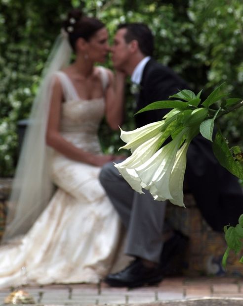 Fotografia de vctor Manuel Gracia - Galeria Fotografica: Bodas - Foto: 