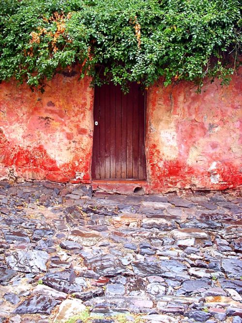 Fotografia de Emilia Seoane - Galeria Fotografica: Portfolio - Foto: 