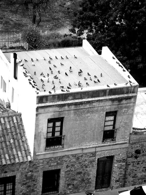 Fotografia de Emilia Seoane - Galeria Fotografica: Portfolio - Foto: 