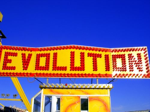 Fotografia de Emilia Seoane - Galeria Fotografica: Portfolio - Foto: 