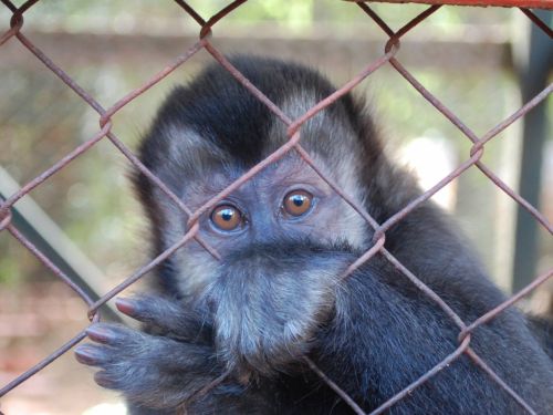 Fotografia de Luis Alfredo Guaglianone - Galeria Fotografica: Probando la Camara - Foto: Mirada al Alma