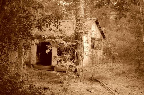 Fotografia de Luis Alfredo Guaglianone - Galeria Fotografica: Probando la Camara - Foto: Perdida