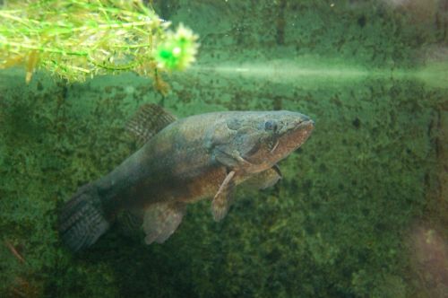 Fotografia de Luis Alfredo Guaglianone - Galeria Fotografica: Probando la Camara - Foto: Estamos muy Enojados