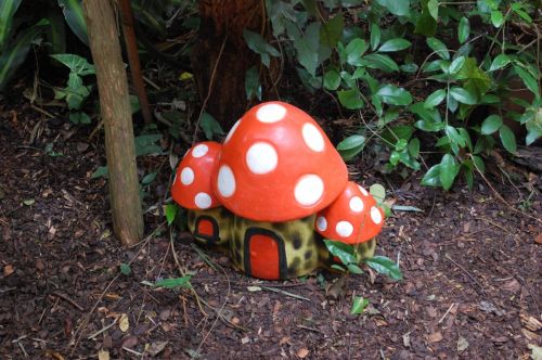 Fotografia de Luis Alfredo Guaglianone - Galeria Fotografica: Probando la Camara - Foto: Casitas de Caracol