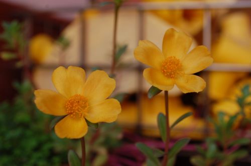 Fotografia de Luis Alfredo Guaglianone - Galeria Fotografica: Probando la Camara - Foto: 