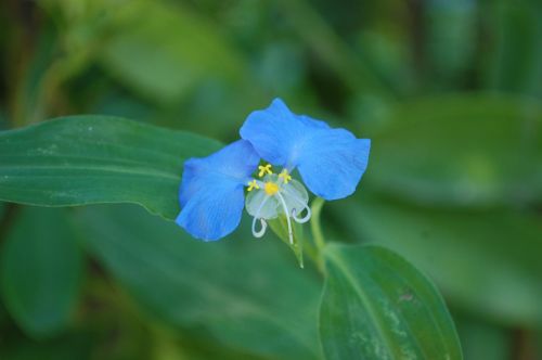 Fotografia de Luis Alfredo Guaglianone - Galeria Fotografica: Probando la Camara - Foto: 