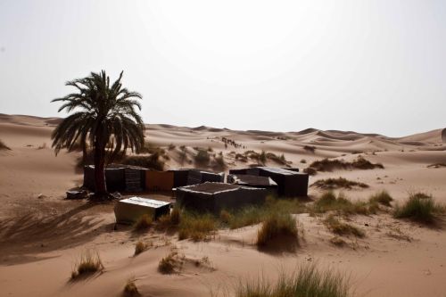 Fotografia de Ab. Alonso - Galeria Fotografica: Miselneo - Foto: 