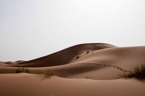 Fotografia de Ab. Alonso - Galeria Fotografica: Miselneo - Foto: 