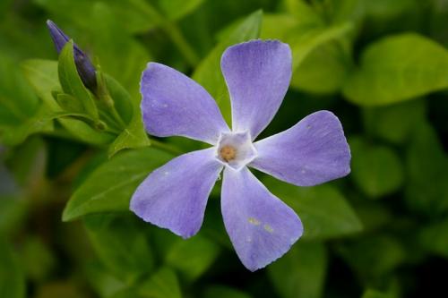 Fotografia de diegodi - Galeria Fotografica: Cosas Diversas - Foto: Cinco...