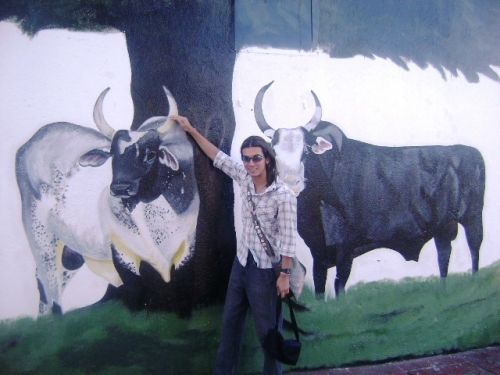 Fotografia de vlaer - Galeria Fotografica: el vlaer - Foto: 