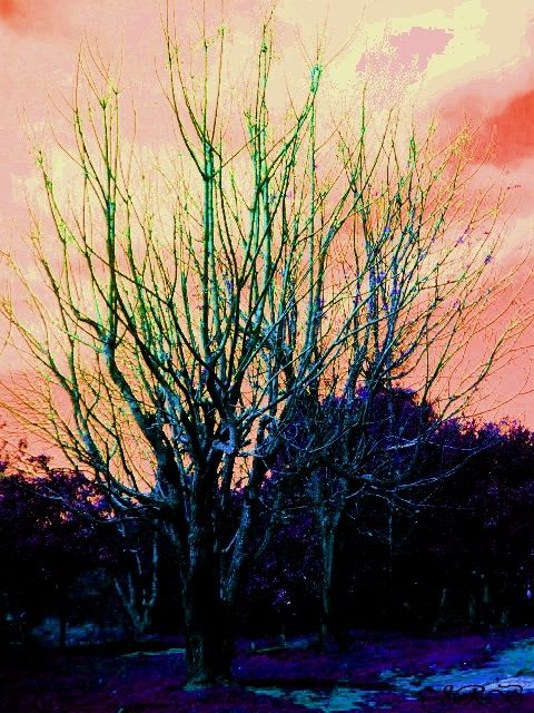 Fotografia de Joana - Galeria Fotografica: Principio.! - Foto: 