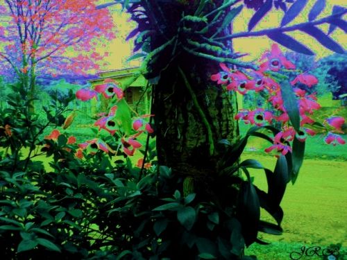 Fotografia de Joana - Galeria Fotografica: Principio.! - Foto: 