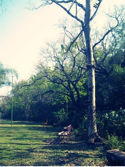 Fotografia de Joana - Galeria Fotografica: Principio.! - Foto: 