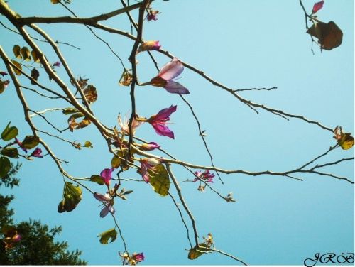 Fotografia de Joana - Galeria Fotografica: Principio.! - Foto: 