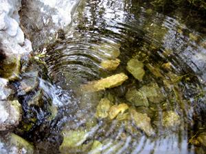 Fotografia de barenting - Galeria Fotografica: Caminos de la Provincia de Buenos Aires - Foto: Pozo verde