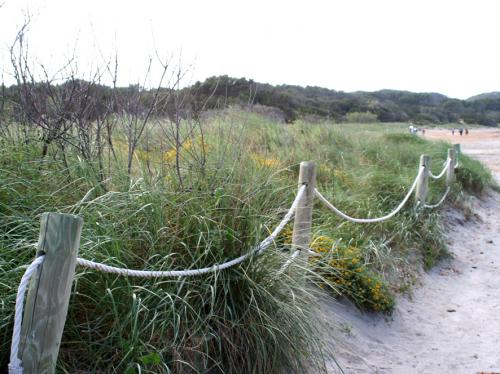 Fotografia de gmez-olives - Galeria Fotografica: abril 06 - Foto: cam