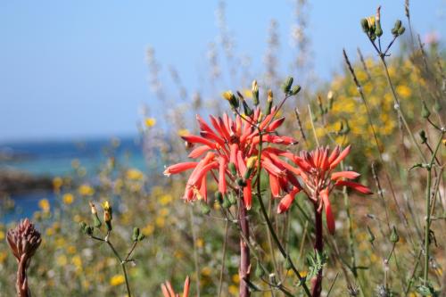 Fotografia de gmez-olives - Galeria Fotografica: abril 06 - Foto: floreta