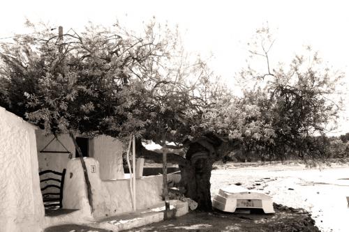 Fotografia de gmez-olives - Galeria Fotografica: abril 06 - Foto: ahir/avui