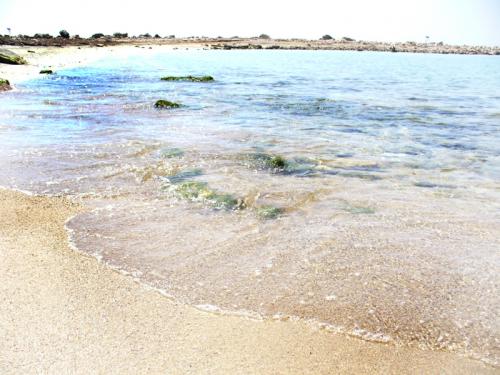 Fotografia de Nashira - Galeria Fotografica: playa - Foto: beach