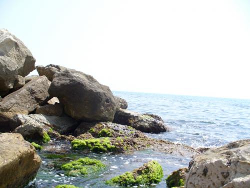 Fotografia de Nashira - Galeria Fotografica: playa - Foto: green