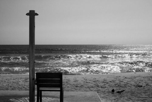 Fotografia de negrofosforito - Galeria Fotografica: fosforito - Foto: 