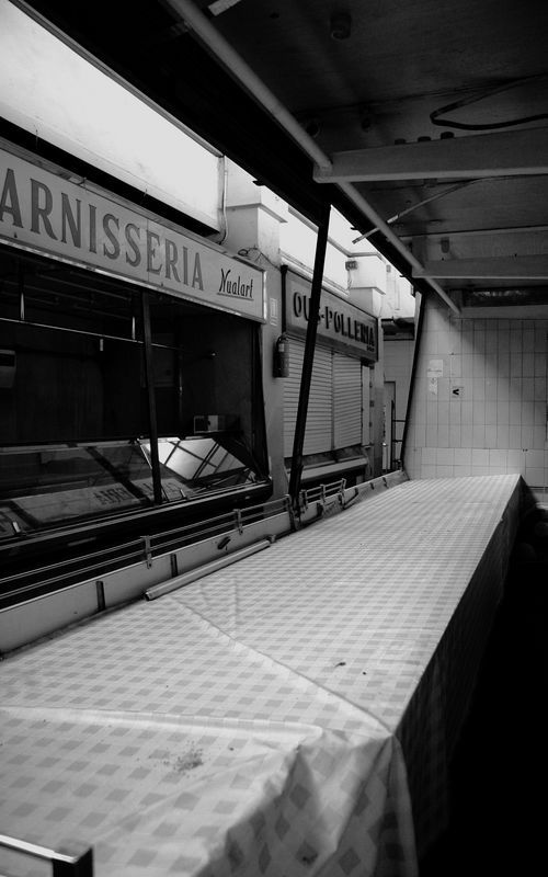 Fotografia de negrofosforito - Galeria Fotografica: fosforito - Foto: 