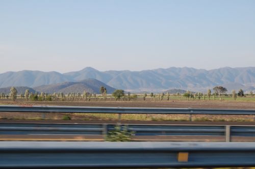 Fotografia de Diana Do de O - Galeria Fotografica: viaje a guanajuato - Foto: 