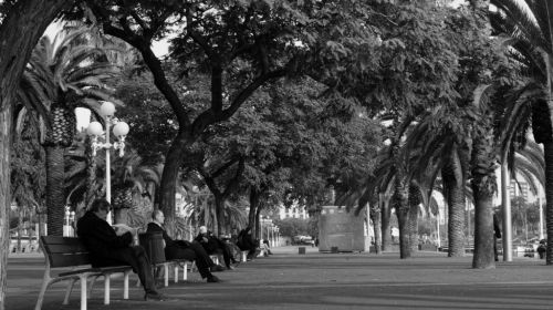 Fotografia de Kike - Galeria Fotografica: Panama City - Foto: 