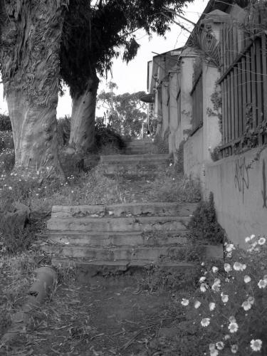 Fotografia de arqcavm - Galeria Fotografica: Valparaiso - Foto: Escalera negra.