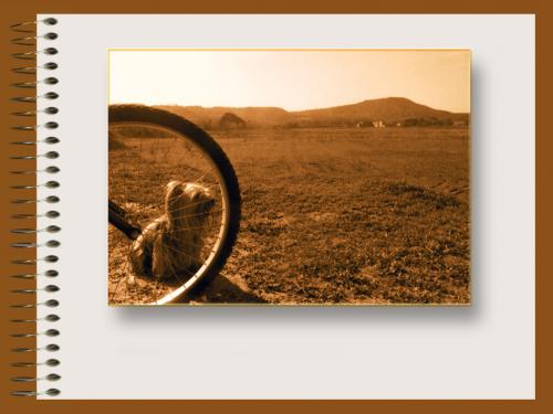 Fotografia de lump - Galeria Fotografica: cuaderno en sepa - Foto: lump