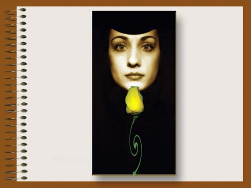 Fotografia de lump - Galeria Fotografica: cuaderno en sepa - Foto: retrato con flor