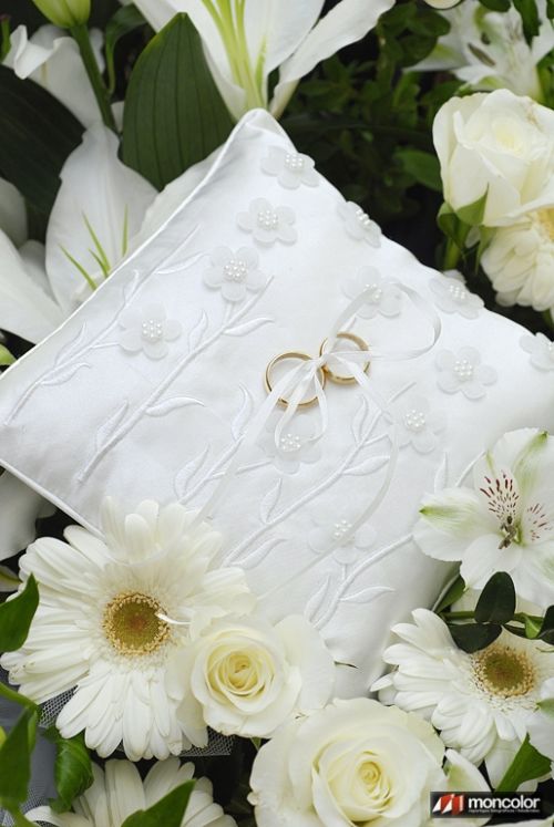 Fotografia de Argeo Foto - Galeria Fotografica: Elena & Fran - Foto: 