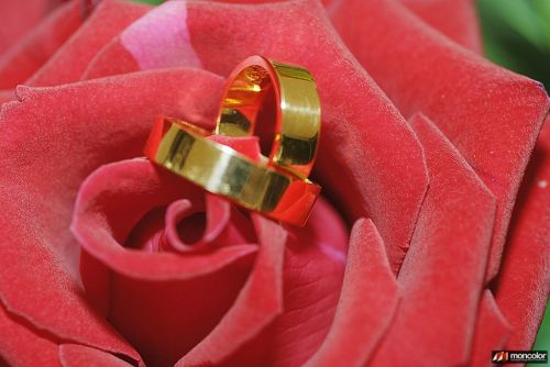 Fotografia de Argeo Foto - Galeria Fotografica: Sara & Jordi - Foto: 