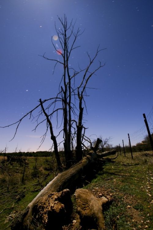 Fotografia de J.ARMAR - Galeria Fotografica: momentos... - Foto: VIEJO OLMO