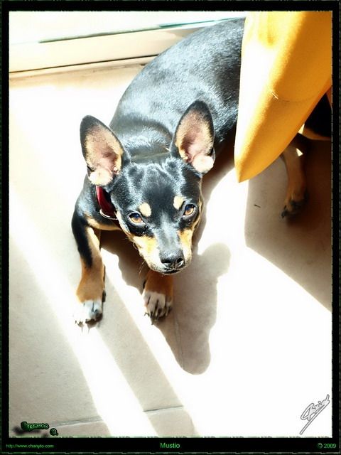 Fotografia de ChanyX - Galeria Fotografica: Naturaleza - Foto: 