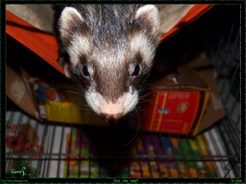 Fotografia de ChanyX - Galeria Fotografica: Naturaleza - Foto: 