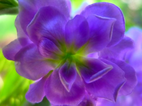 Fotografia de J.ARMAR - Galeria Fotografica: momentos... - Foto: 