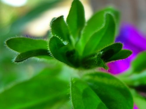 Fotografia de J.ARMAR - Galeria Fotografica: momentos... - Foto: 