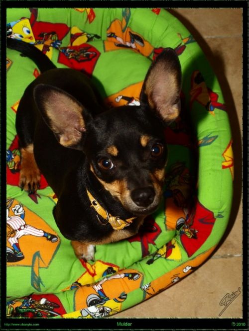 Fotografia de ChanyX - Galeria Fotografica: Naturaleza - Foto: 