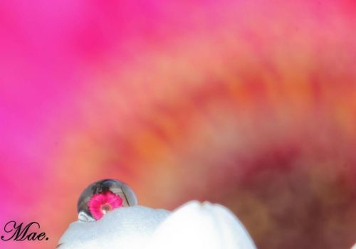 Fotografia de dandolealRec - Galeria Fotografica: Varias - Foto: 