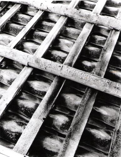 Fotografia de Gretel - Galeria Fotografica: ESPACIO - Foto: 