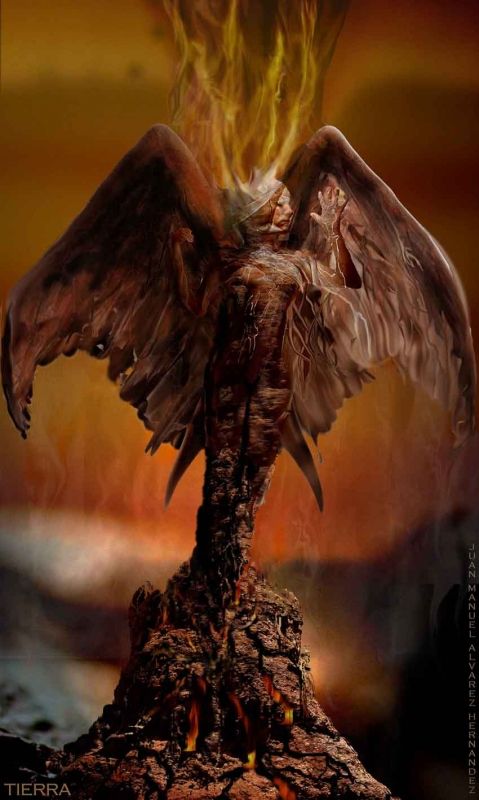 Fotografia de JUAN MANUEL ALVAREZ - Galeria Fotografica: ELEMENTOS - Foto: 